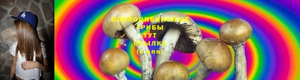 ГАЛЛЮЦИНОГЕННЫЕ ГРИБЫ Белокуриха