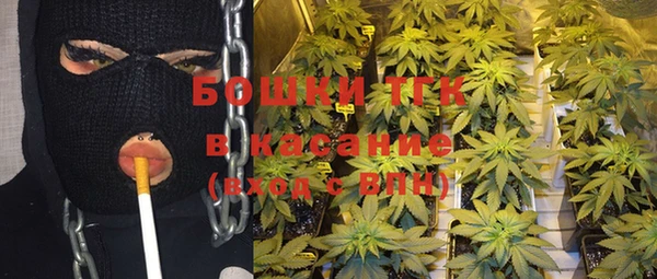 ГАЛЛЮЦИНОГЕННЫЕ ГРИБЫ Белокуриха