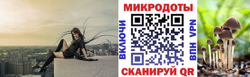 Псилоцибиновые грибы Magic Shrooms  ссылка на мегу маркетплейс  Шенкурск 