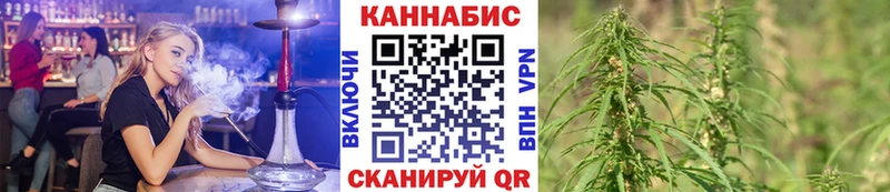 Шишки марихуана THC 21% Шенкурск